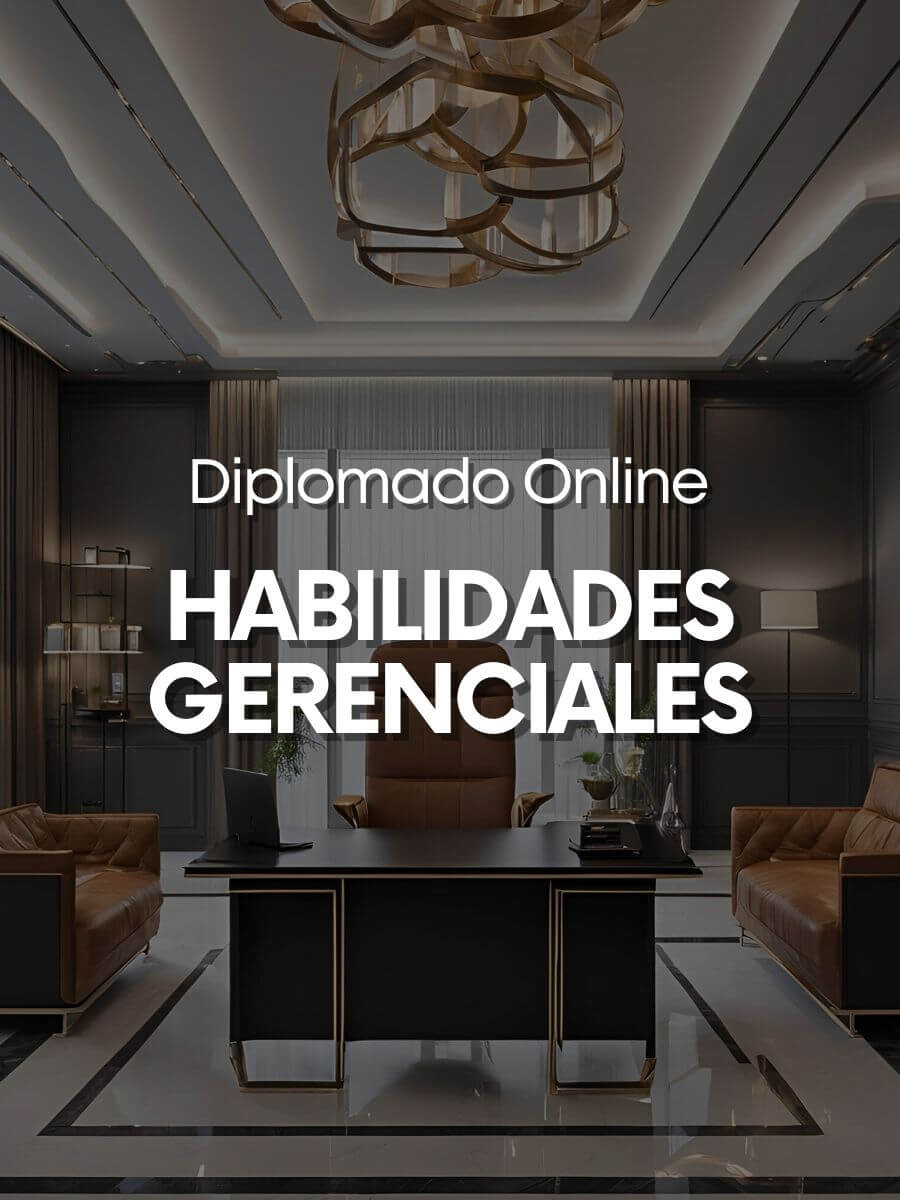 Habilidades Gerenciales